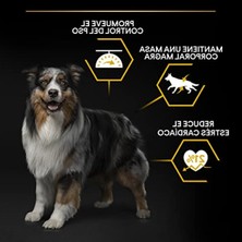 MarkEntegra Beyaz Balıklı Kuru Köpek Maması, 14 Kg, Yetişkin Köpekler Için Özel