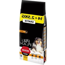 MarkEntegra Yetişkin Köpekler Için Tavuklu Kuru Mama - 16.5 kg