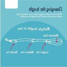 MarkEntegra Çok Fonksiyonlu Eğitim Tasma Kayışı - Çekme Önleyici
