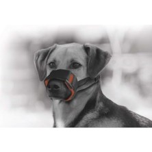 MarkEntegra Dayanıklı ve Uzun Ömürlü Küçük Boy Ağızlık