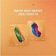 MarkEntegra 4/4 Boyut Keman Tel Seti, Orta Sertlik - Uzun Süreli Kullanım