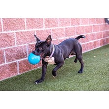 MarkEntegra Dayanıklı Deniz Mavisi Futbol Topu, 20 cm Çapında