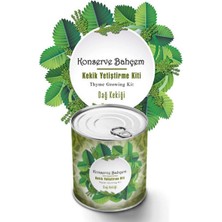 Toyigoo Buffer® Konserve Bahçem Evde Konservede Kekik Dağ Kekiği Yetiştirme Kiti TYGRSYT9573