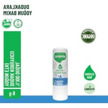 MarkEntegra Yoğun Etkili %100 Doğal Dudak Koruyucu Bitkisel Nemlendirici 6 G