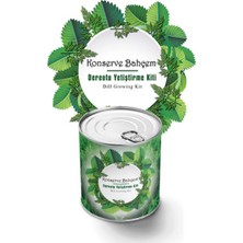 Toyigoo Buffer® Konserve Bahçem Evde Konservede Dereotu Yetiştirme Kiti Aparatı TYGRSYT9573