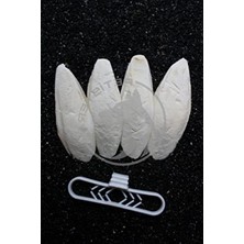 MarkEntegra 4'lü Temizlenmiş Mürekkep Balığı (Kalamar) Kemiği 7-8 cm