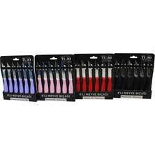 Vice Avm 6 PARÇA  MEYVE BIÇAK RENKLİ PLASTİK SAPLI GO-53-vice 02031