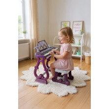 NeUygun 49 Tuşlu Standı Tabureli Piyano Seti Org Mikrofonlu Karaoke