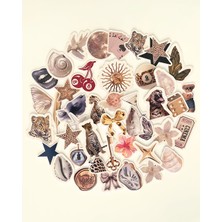 Leopar Sticker Set Bullet Journal Ajanda Laptop Tablet Telefon Etiket Çıkartma