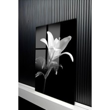 KutuTR Siyah Beyaz Estetik Lilyum Çiçeği Temalı Temperli Cam Tablo 50X70 cm 2d Uv Baskı - YCT486
