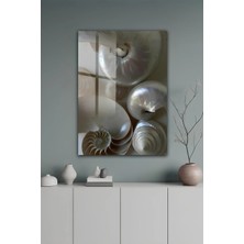 KutuTR Inci Tonlu Deniz Kabuğu Spiral Desenli Temperli Cam Tablo 50X70 cm 2d Uv Baskı - YCT552