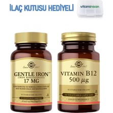 Gentle Iron 17 Mg 90 Kapsül + Solgar Vitamin B12 500 Mg 50 Kapsül