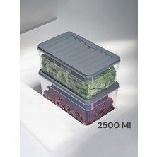 Nesto Home 2'li Set Derin 2500 ml Buzdolabı Düzenleyici Buzluk ve Mikrodalga Saklama Kabı 2X2500