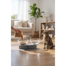 Özgürce Iki Hazneli Gri Kedi Kase, Mama ve Su Için Şık ve Pratik Tasarım