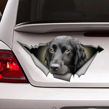 Sticker Dizayn Bagajdan Bakan Köpek Sticker - Araba Oto Motosiklet Karavan Cam Sticker - 00141