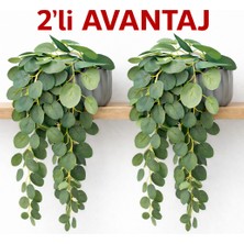 B&Nine 2'li Yapay Sarkıt Çiçek Söğüt Okaliptus