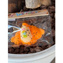 Önder Sport Squishy Pushy 8cmçapında