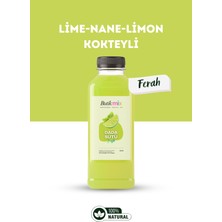 Butik İçki Dada Sütü Hazır Kokteyl Karışımı 500ML - (Lime-Nane-Limon)