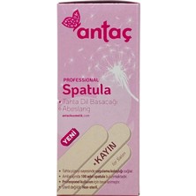 Antaç Spatula 100 Adet