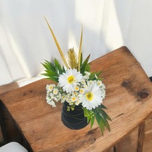 Sedosh Home Vision Beyaz Papatya Çiçek Aranjmanı-Dekoratif