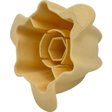 Süppürge Bosch Ile Uyumlu MCP3500N Vitapress 422891 Narenciye Sıkacağı Sıkma Başlık