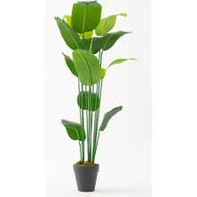 Güleç Yapay Çiçek Yapay Starliçe Ağacı 190 cm 13 Dal