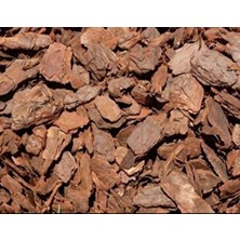 10 kg Çam Ağaç  Kabuğu Peyzaj
