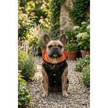 ZenPaw Siyah Turuncu Astarlı Kapitone Köpek Montu – Çıtçıtlı, Parlak Kumaşlı, Soğuk Hava Köpek Yeleği/Sırt Çantalı