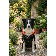 Zendog Siyah Turuncu Astarlı Kapitone Köpek Montu – Çıtçıtlı, Parlak Kumaşlı, Soğuk Hava Köpek Yeleği/Sırt Çantalı