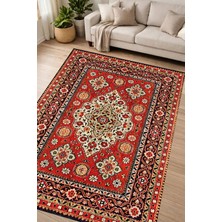 Alanur Home Alanur Kaymaz Yıkanabilir Dijital Baskılı Salon Halısı Yıldız Deri Otantik E6002 Renkli