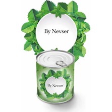 By Nevser® Evde Konservede Iri Yapraklı Kıvırcık Yetiştirme Kiti