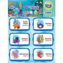 Crea Etiket Creatiket Eğitici Çıkartma Ingilizce*türkçe