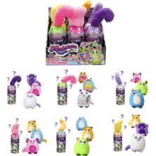 Sunman S01003962 Misfittens Gemstone Sürpriz Paket  -Sun