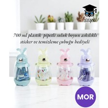 700 ml Plastik Pipetli Suluk Boyun Askılıklı Sticker ve Temizleme Çubuğu Hediyeli