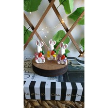 3 Lü Mini Boy Tavşan Biblo