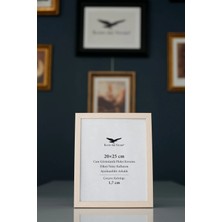 Raven Art Studio Ermitaj 20X25CM Sedef Resim Fotoğraf Belge Poster Evrak Çerçevesi Korumalı Kırılmaz Pleksi Cam