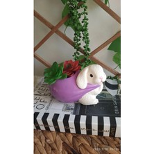Tavşan Model Masa Üstü Kalemlik /sukulent Saksı /düzenleyici