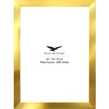 Raven Art Studio Potala A3-30X42CM Altın Resim Fotoğraf Belge Poster Evrak Çerçevesi Korumalı Kırılmaz Pleksi Cam