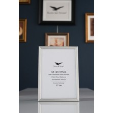Raven Art Studio Ermitaj A4 Ebat 21CM x 30CM Inox Gümüş Resim Fotoğraf Belge Poster Evrak Çerçevesi Korumalı Kırılmaz Pleksi Cam