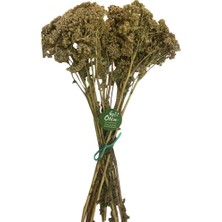 Beyaz Civanperçemi 75 gr