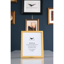 Raven Art Studio Ermitaj 20X25CM Inox Altın Resim Fotoğraf Belge Poster Evrak Çerçevesi Korumalı Kırılmaz Pleksi Cam