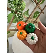 4’lü Renkli Balkabağı Biblo /dekoratif /hediyelik