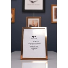 Raven Art Studio Ermitaj A4 Ebat 21CM x 30CM Inox Bronz Resim Fotoğraf Belge Poster Evrak Çerçevesi Korumalı Kırılmaz Pleksi Cam