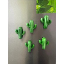 5’li Kaktüs Model Dolap Süsü Magnet