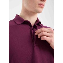 Lacoste Polo Paris Mürdüm Regular Fit