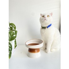 Özgürce Iki Renkli Seramik Kedi ve Köpek Mama ve Su Kabı Seti