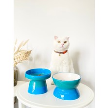 Özgürce Turkuaz Seramik Kedi ve Köpek Mama ve Su Kabı Ayaklı 2'li Set