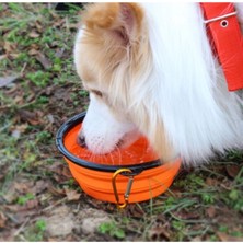 Özgürce Pratik Katlanabilir Kedi Köpek Mama ve Su Kabı, Seyahat ve Dış Mekan Için