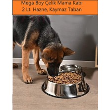 Özgürce Büyük Boy Paslanmaz Çelik Mama ve Su Kabı, Kaymaz Alt Tabakasıyla 33 cm