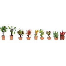 Noch 14082 Saksıda Süs Malzemesi, 9 Adet, Diorama Malzemesi